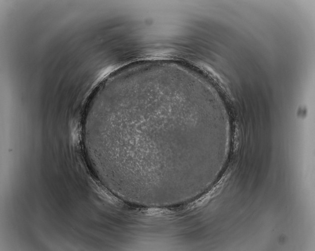 X0000099301449200805090943