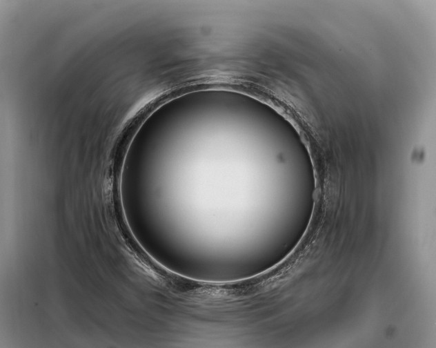 X0000099301450200805090943