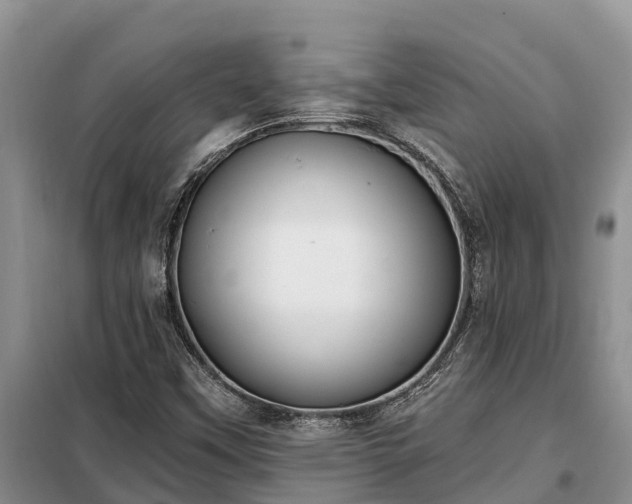 X0000099301451200805090943