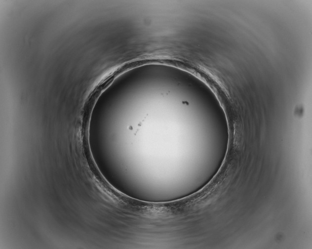 X0000099301452200805090943