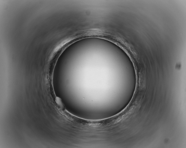 X0000099301453200805090943