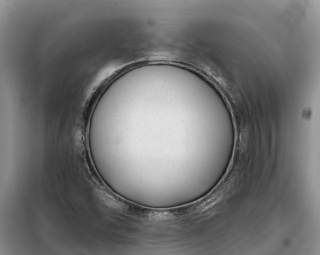 X0000099301454200805090943