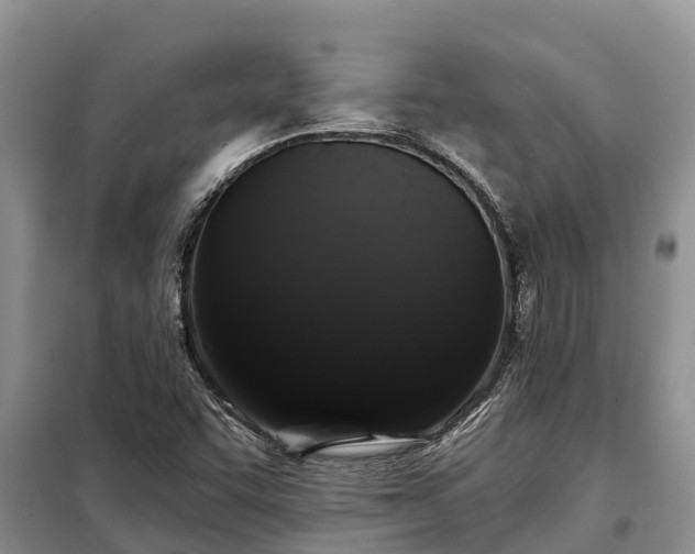 X0000099301455200805090943