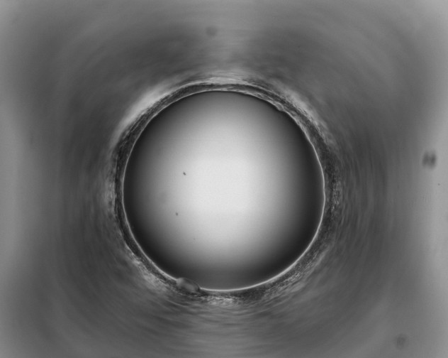 X0000099301456200805090943