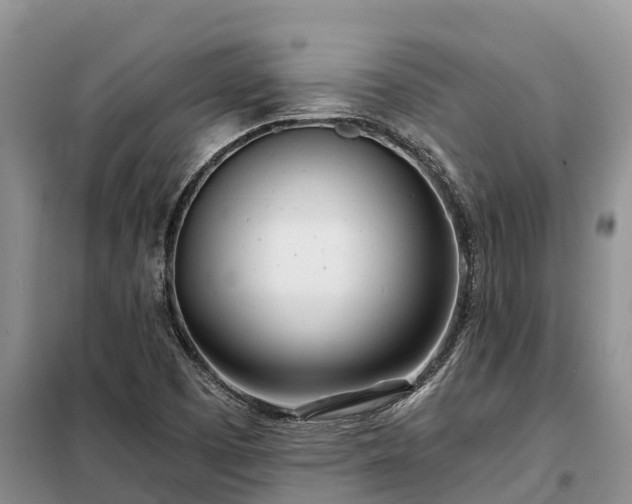 X0000099301457200805090943