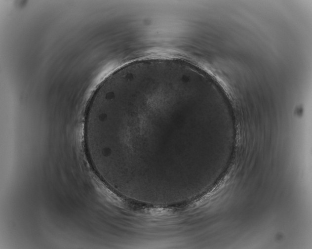 X0000099301459200805090943