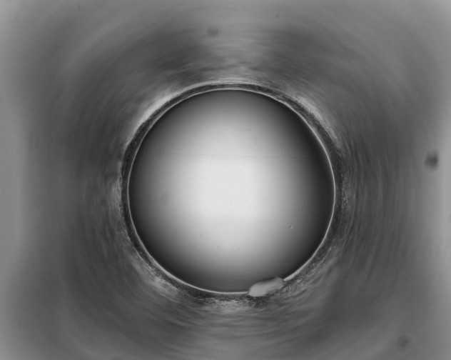 X0000099301460200805090943