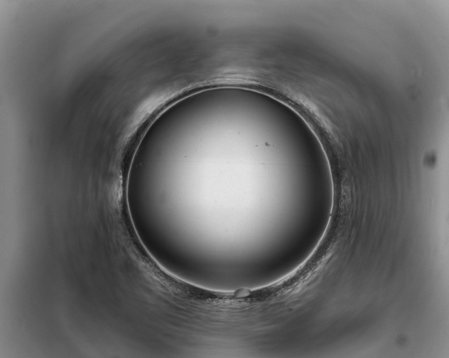 X0000099301461200805090943