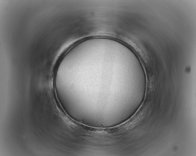 X0000099301462200805090943