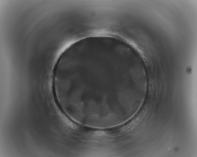 X0000099301463200805090943