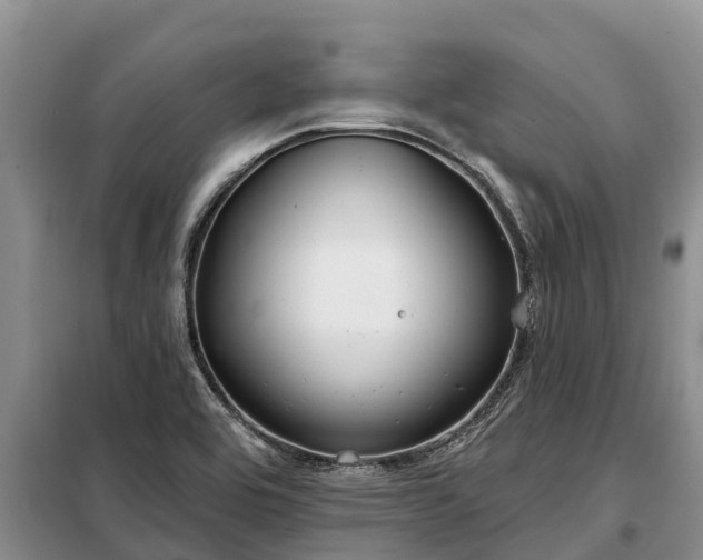 X0000099301464200805090943