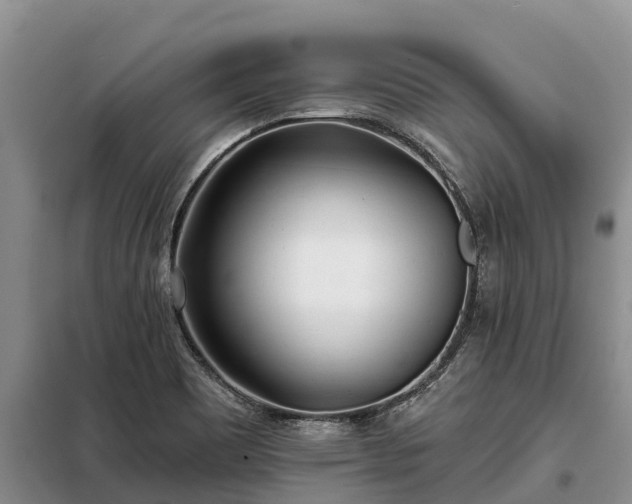 X0000099301465200805090943