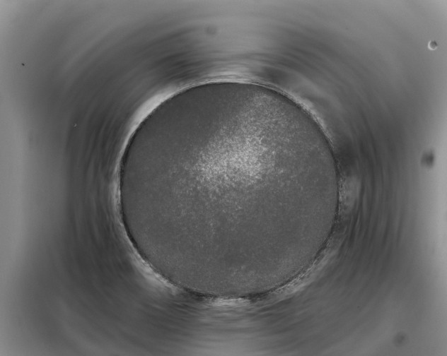 X0000099301466200805090943