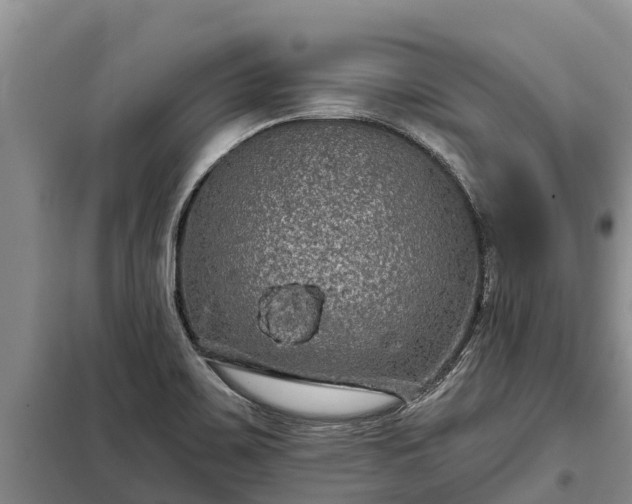 X0000099301467200805090943