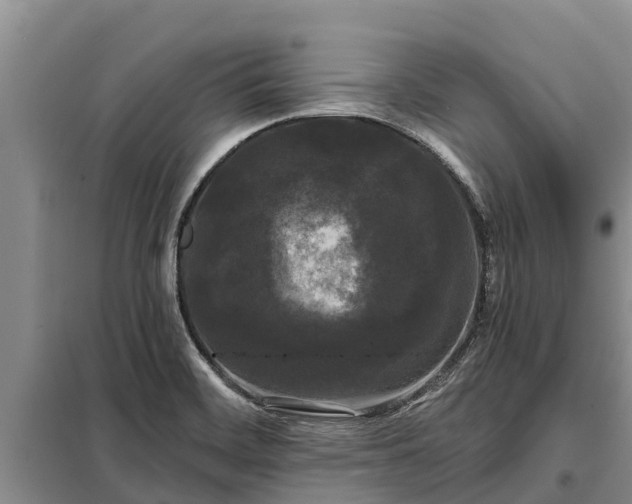 X0000099301468200805090943