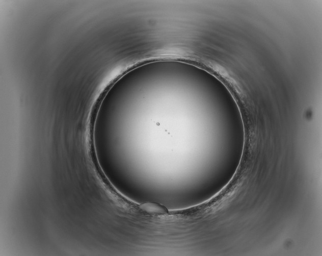 X0000099301469200805090943