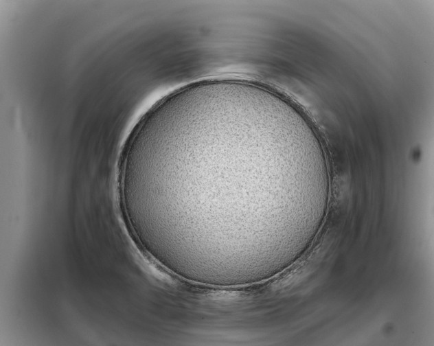 X0000099301470200805090943