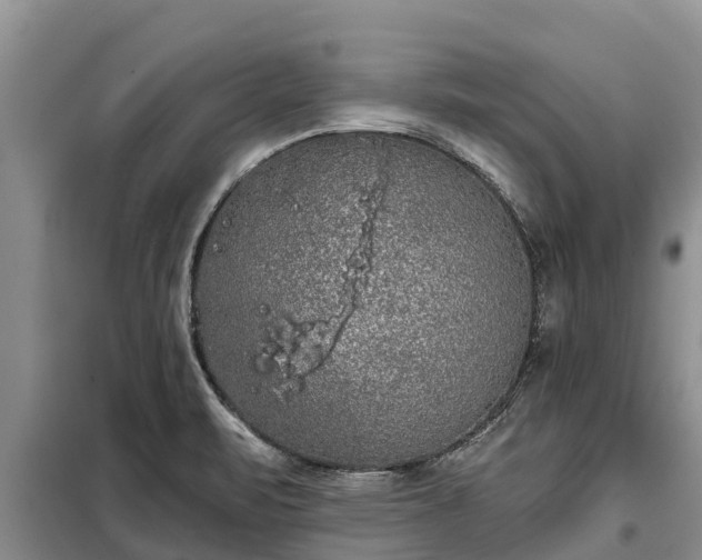 X0000099301471200805090943