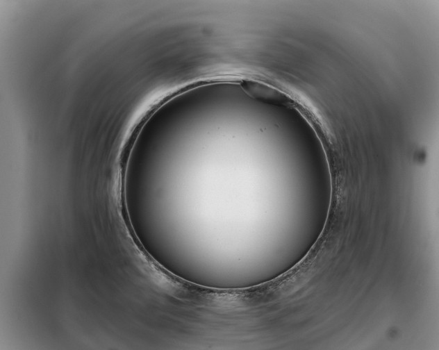 X0000099301472200805090943