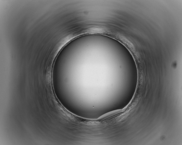 X0000099301473200805090943