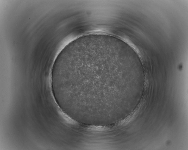 X0000099301474200805090943