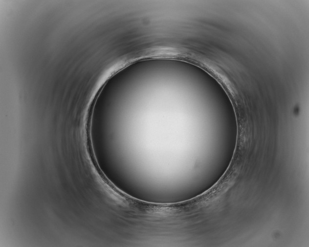 X0000099301475200805090942