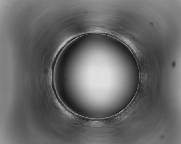 X0000099301476200805090942