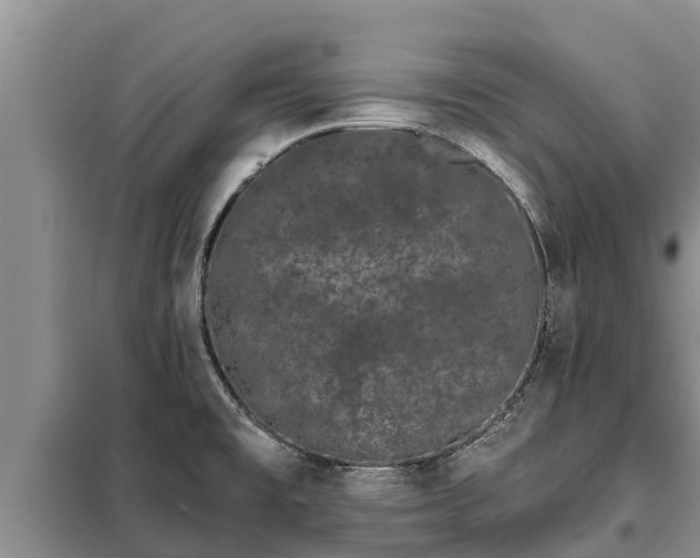 X0000099301477200805090942