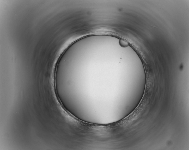 X0000099301478200805090942