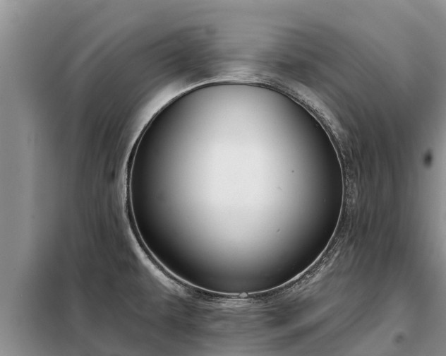 X0000099301479200805090942