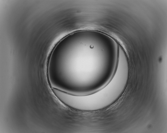 X0000099301480200805090942