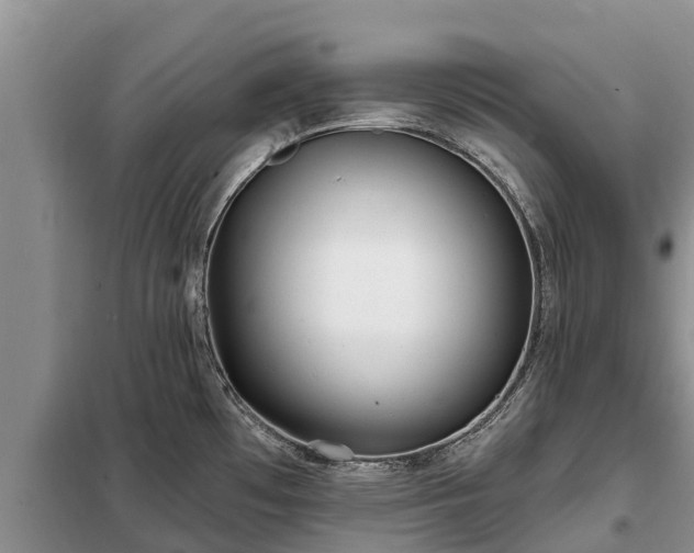 X0000099301481200805090942