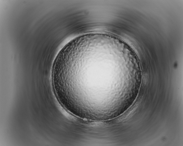 X0000099301482200805090942