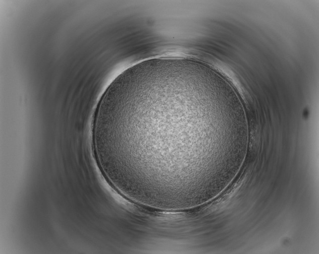 X0000099301483200805090942