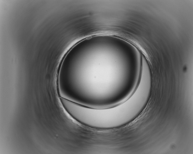 X0000099301484200805090942