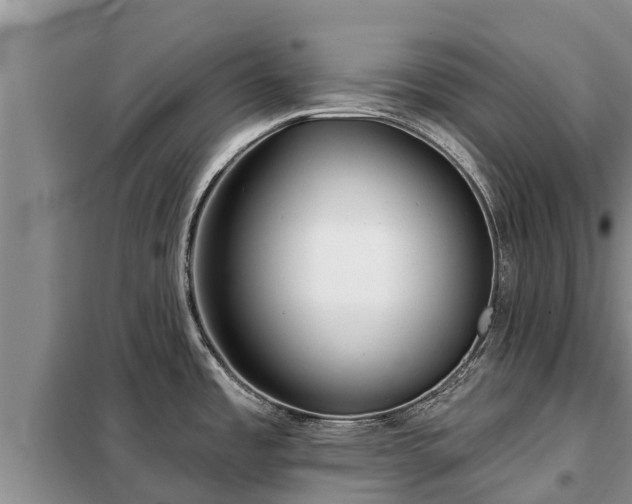 X0000099301485200805090942