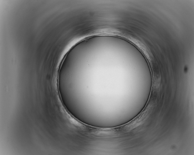 X0000099301486200805090942