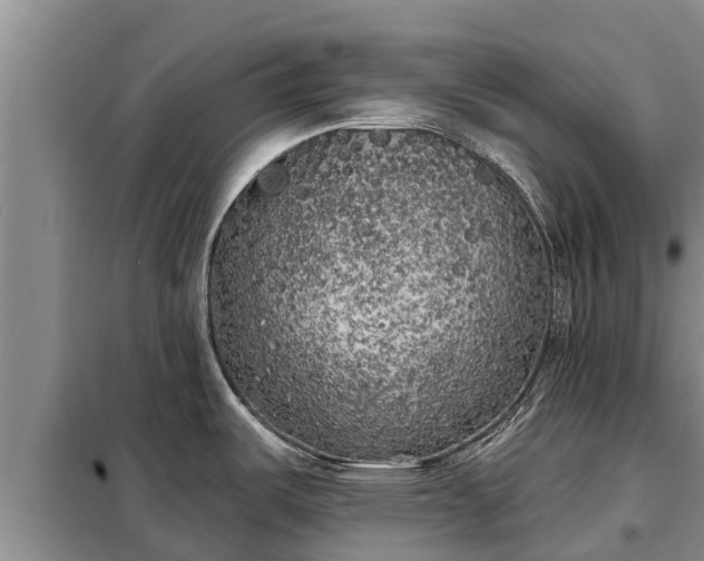 X0000099301487200805090942