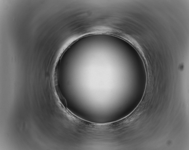 X0000099301488200805090942