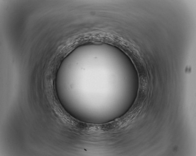 X0000099301489200805090941