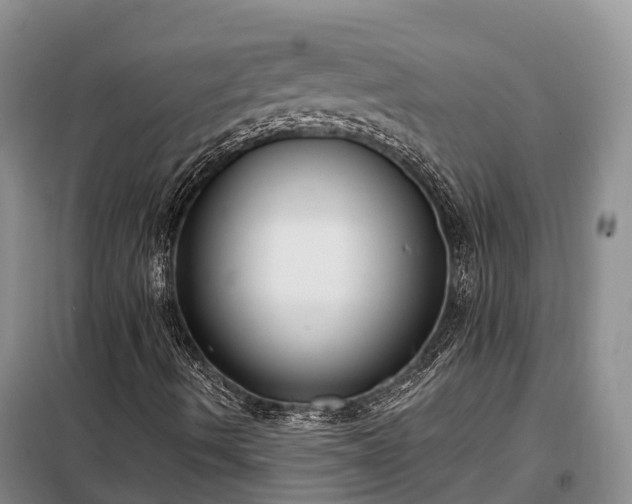 X0000099301490200805090942