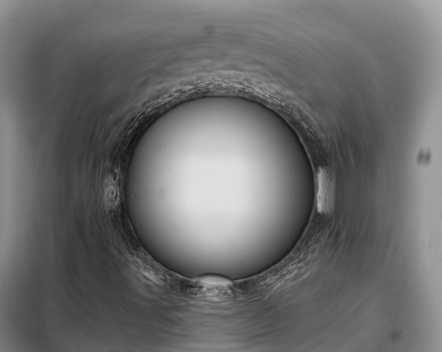 X0000099301491200805090942