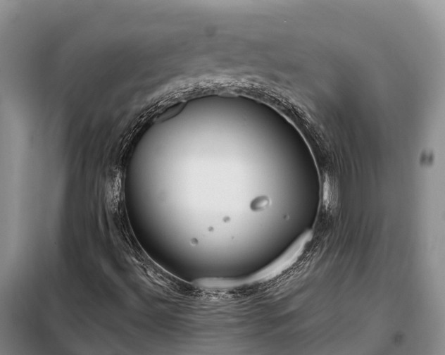 X0000099301492200805090942