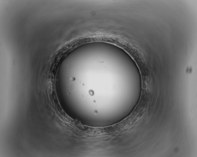 X0000099301493200805090942