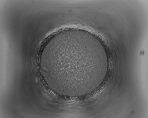 X0000099301494200805090942