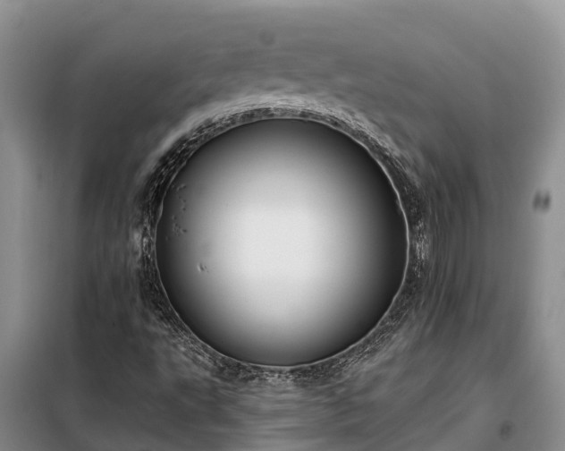 X0000099301495200805090942