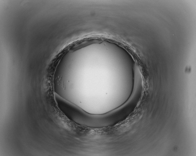 X0000099301496200805090942