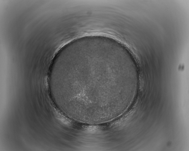 X0000099301497200805090942