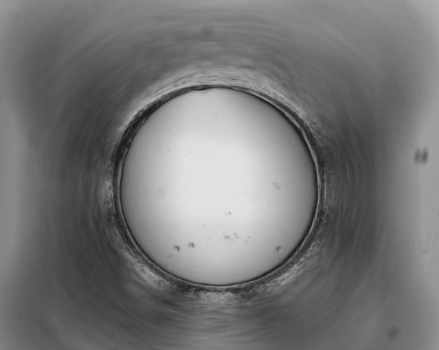 X0000099301498200805090942