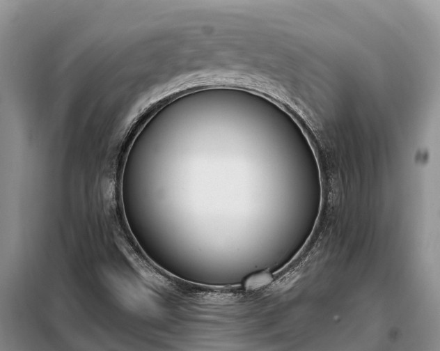 X0000099301499200805090942